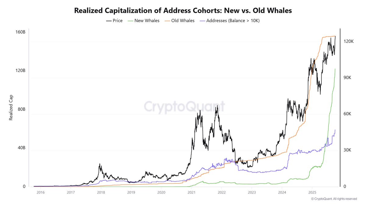 Bitcoin (BTC) Realized Capitalization of Address Cohorts: New vs. Old Whales