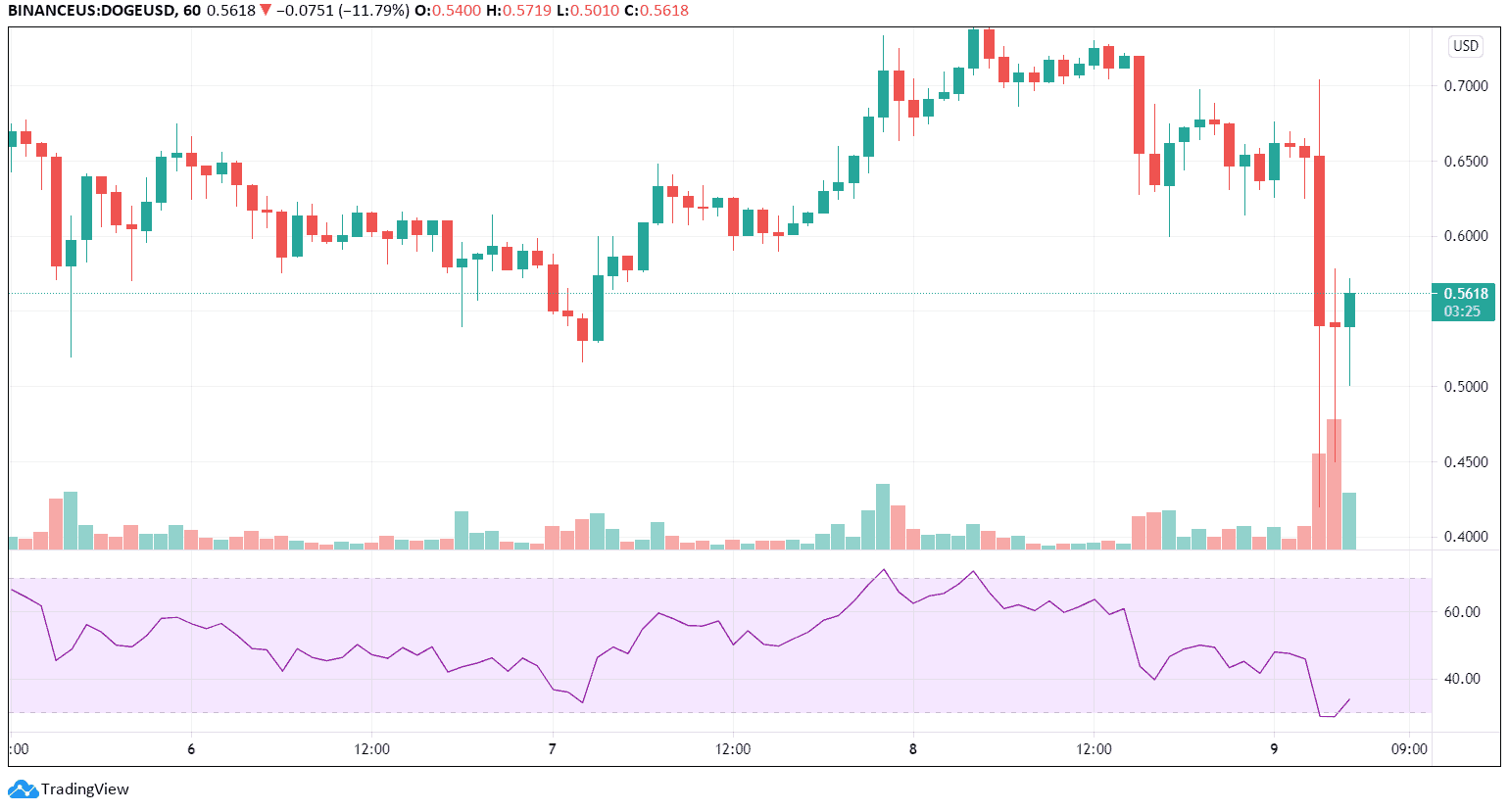 Dogecoin price. Image: Tradingview