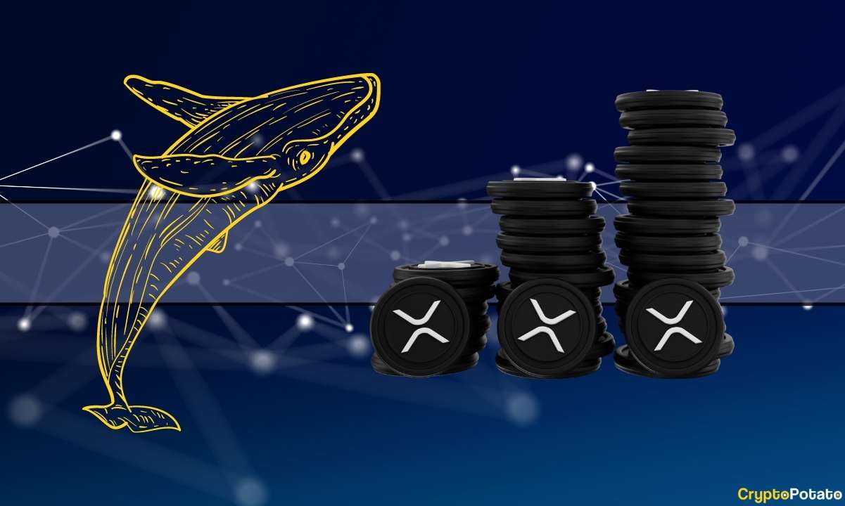 xrp_whales_cover