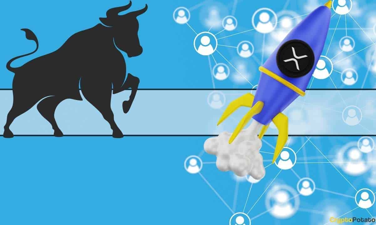 xrp_bull_rocket_cover