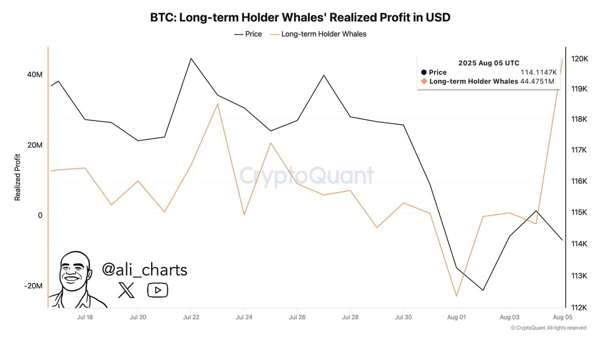 Long-term Bitcoin $BTC holders