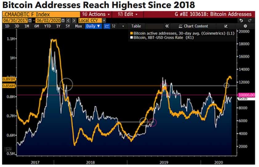 Bitcoin Addresses. Source: Bloomberg
