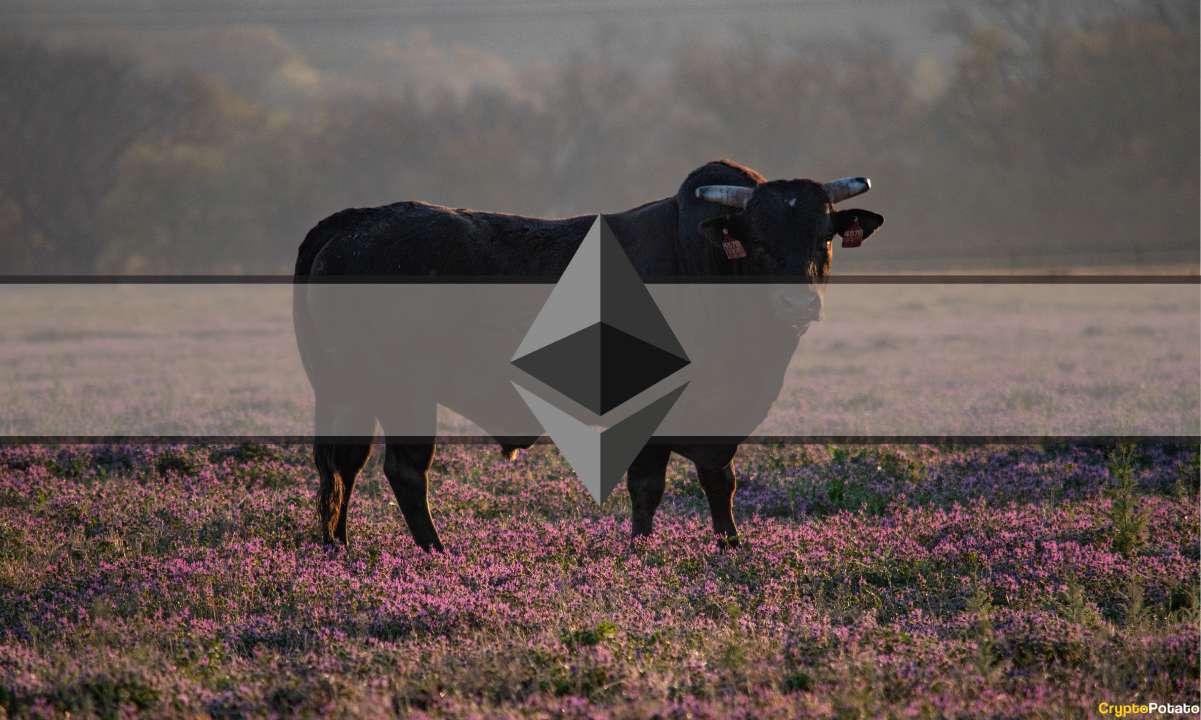 etherem_bull_cover