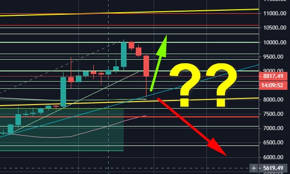 adausd-apr24