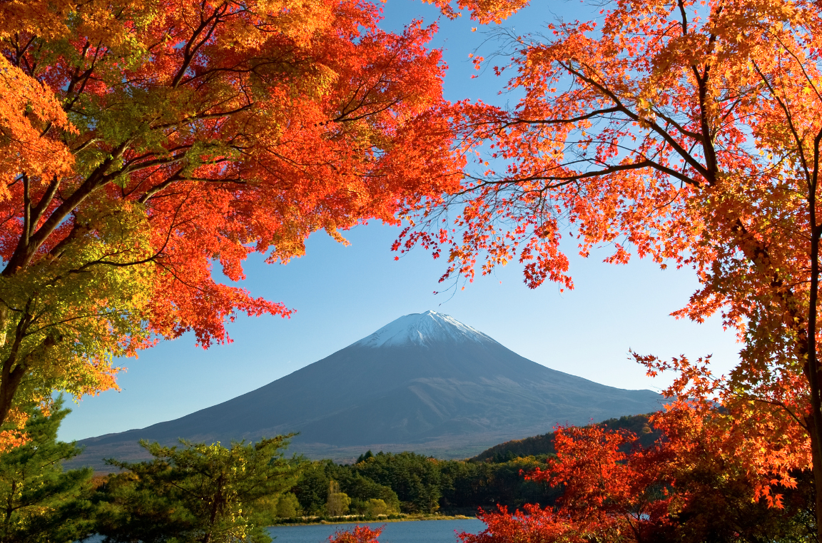 Mt. Fuji in Fall