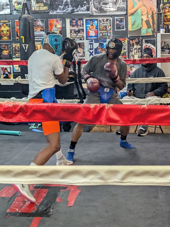 Sparring Action