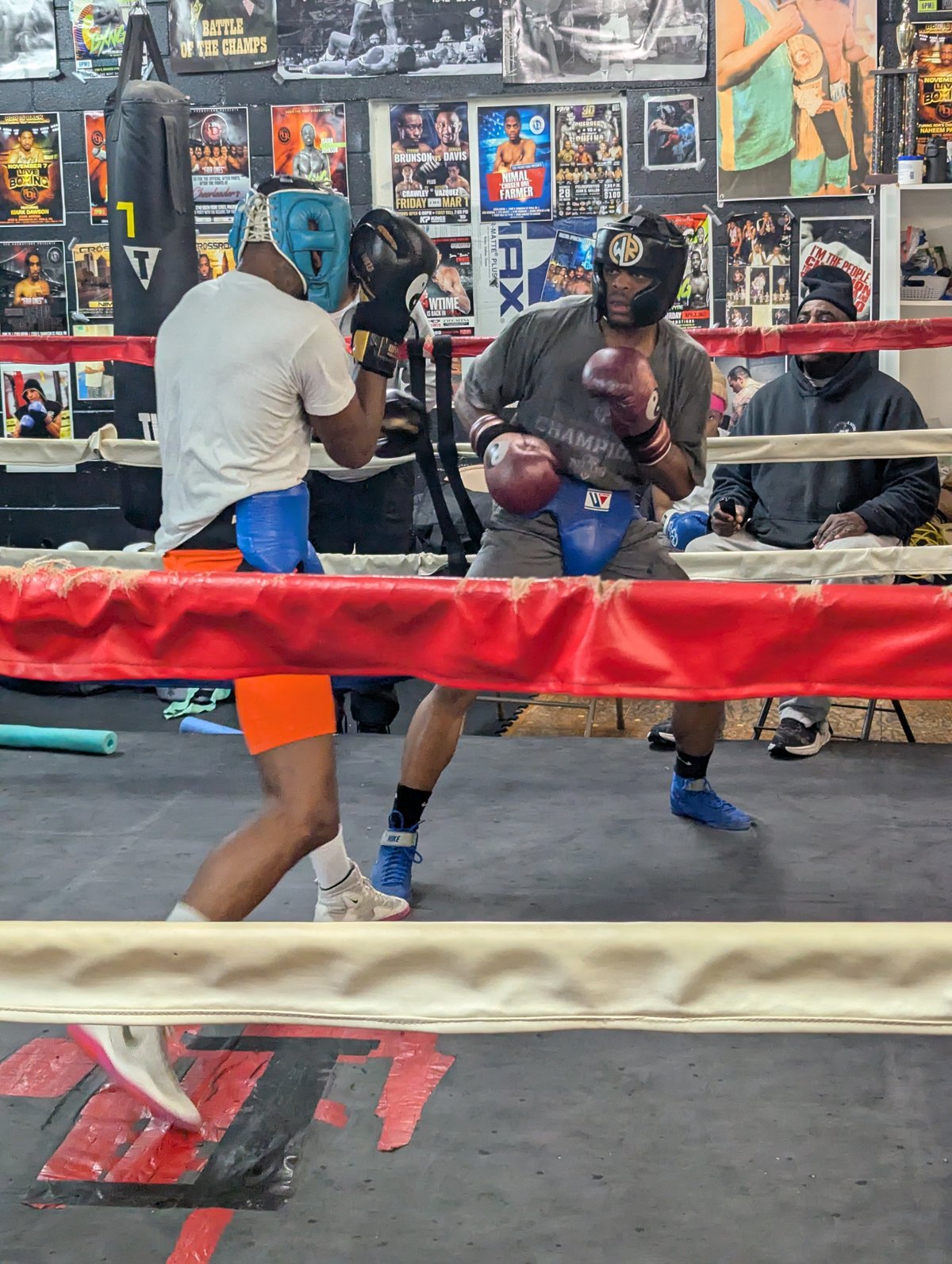 Sparring Action