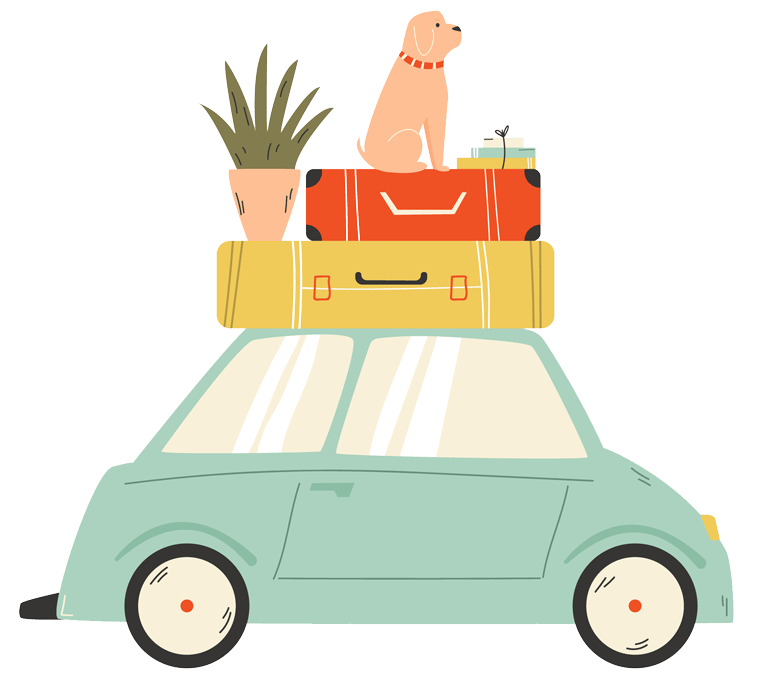 Dog on car moving home