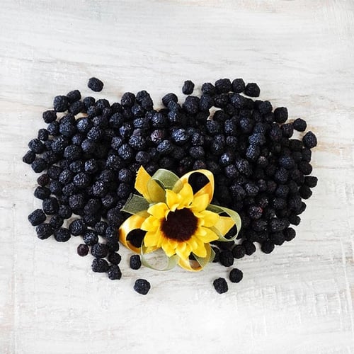 Био сушена арония 100г