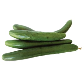 Био краставици - България