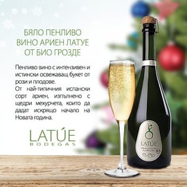 Био вино бяло пенливо Айрен Latue 750мл