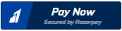 Payment Button