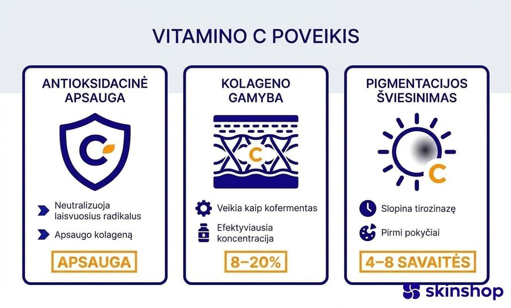 Vitamino C nauda veido odai: antioksidacinė apsauga nuo laisvųjų radikalų, kolageno gamybos skatinimas ir pigmentinių dėmių šviesinimas – pagrindiniai efektai ir veikimo laikas
