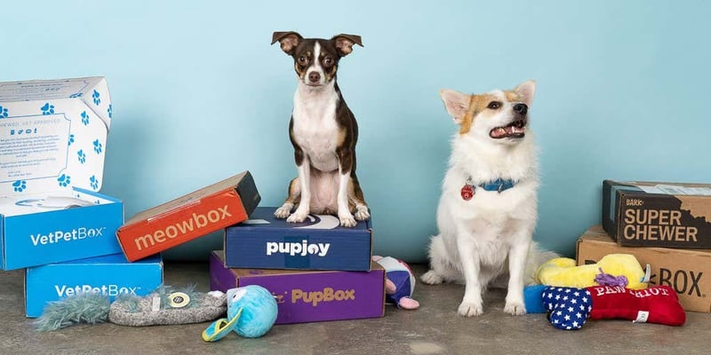PupBox Rebranded as Cuddle Crate's Subscription Service