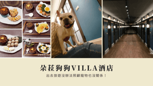 出去旅遊沒辦法照顧寵物怎麼辦？朵菈狗狗Villa酒店，讓毛孩享受貴族般的假期！