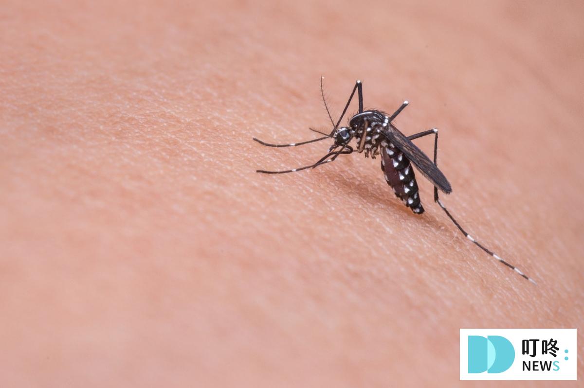 【防蚊貼片推薦】防蚊貼片雖然不刺激肌膚，但在蚊蟲密集的地方還是無法完全避免蚊蟲叮咬