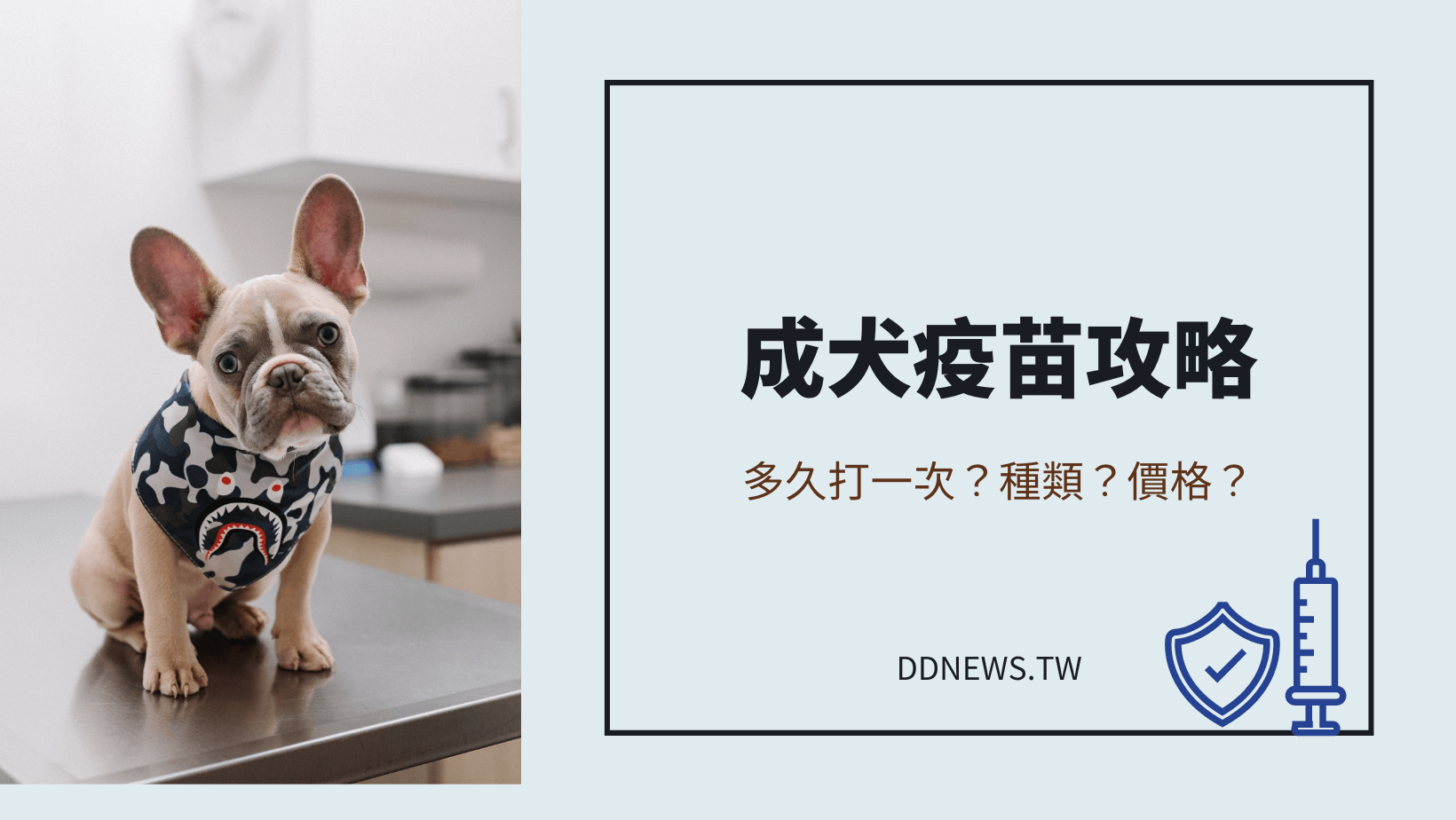 成犬疫苗接種攻略