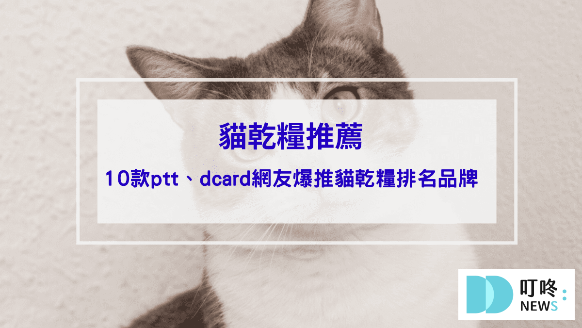 貓乾糧推薦｜10款ptt、dcard網友爆推貓乾糧排名品牌，如何挑選保存貓乾糧、注意事項一次看