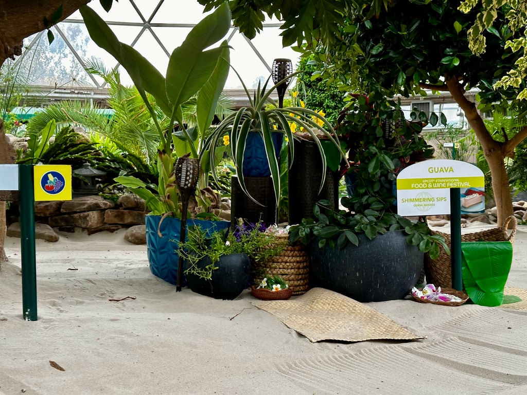 Living with the Land: Festival Displays