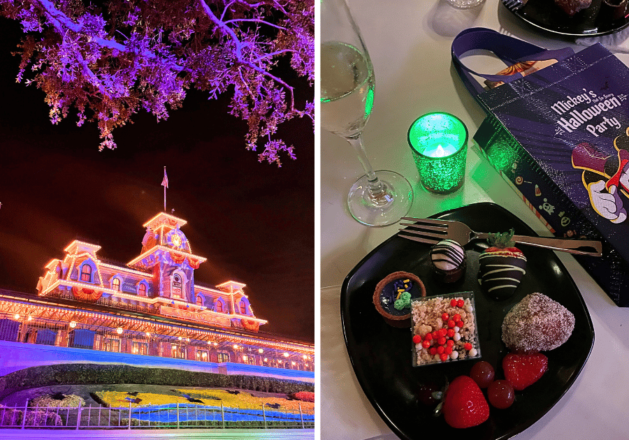 Magic Kingdom Train Station and Dessert Party
