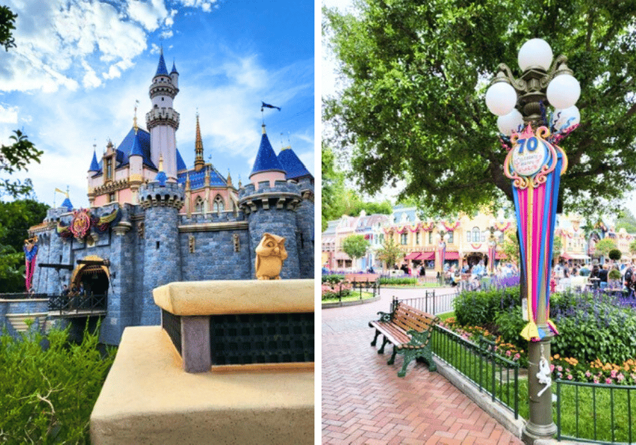 Make 2026 the Year of Disneyland Magic
