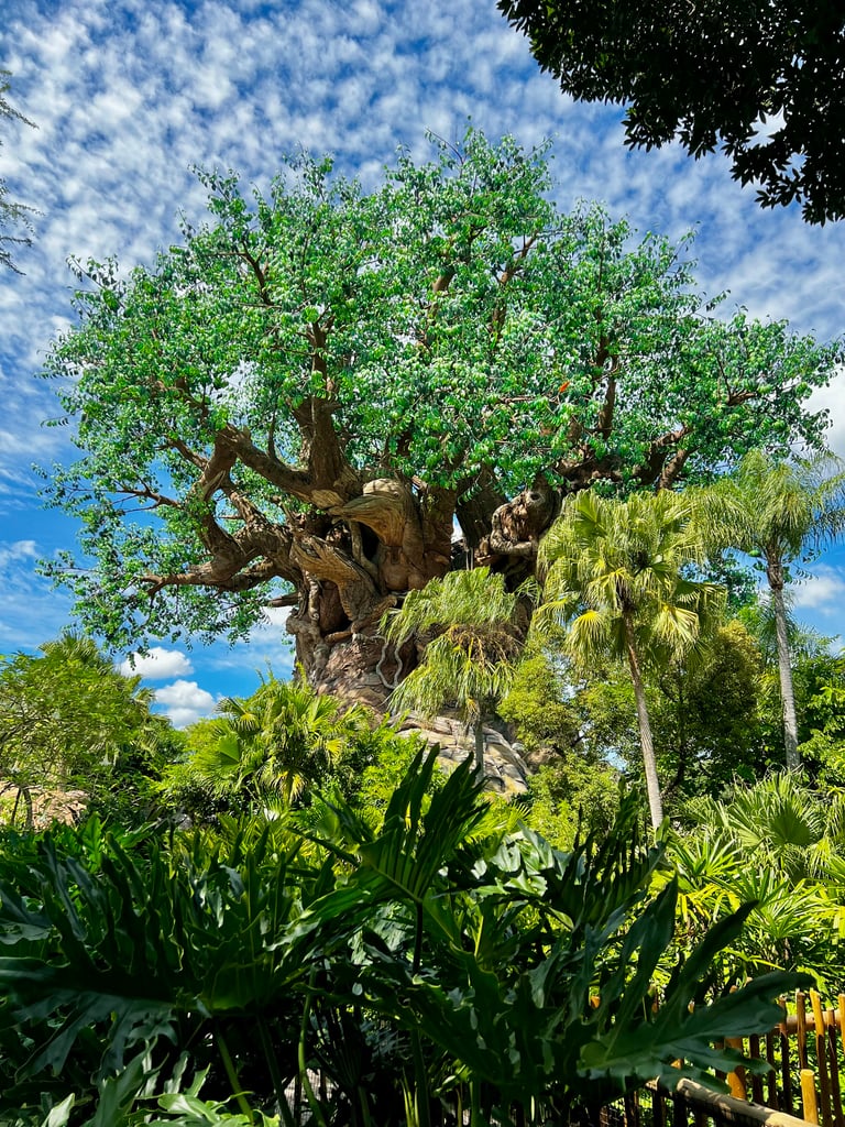 Animal Kingdom - Tree of Life
