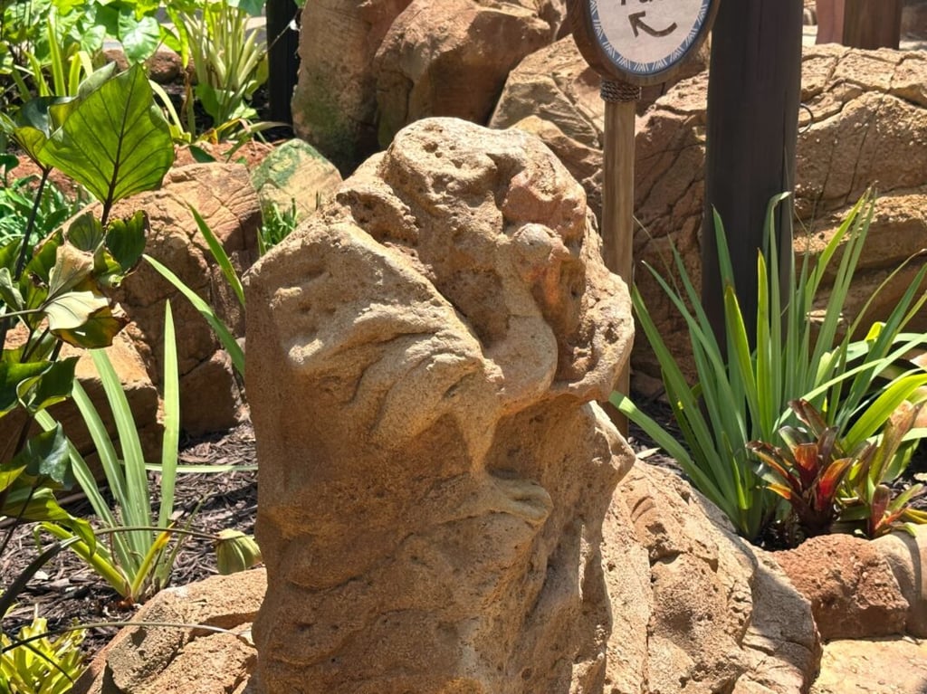 Heihei hidden in the rock formation