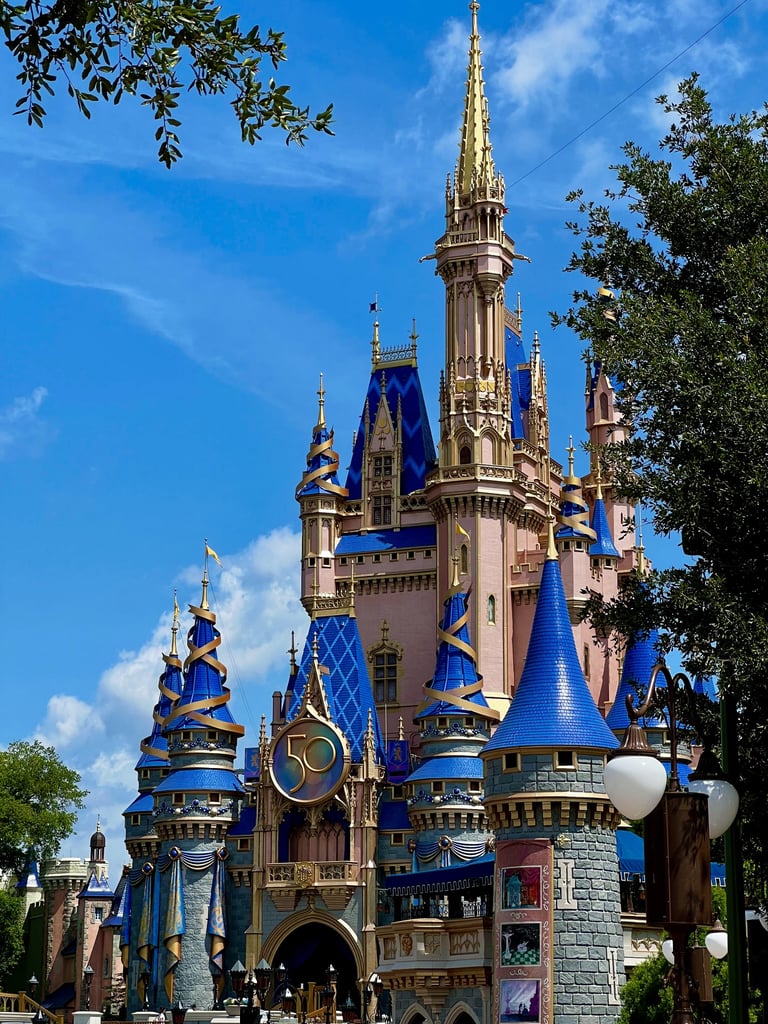 Magic Kingdom Castle 50th