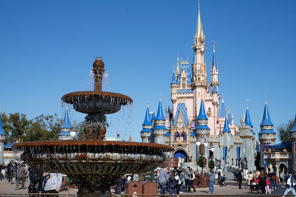 Magic Kingdom - Castle Picture