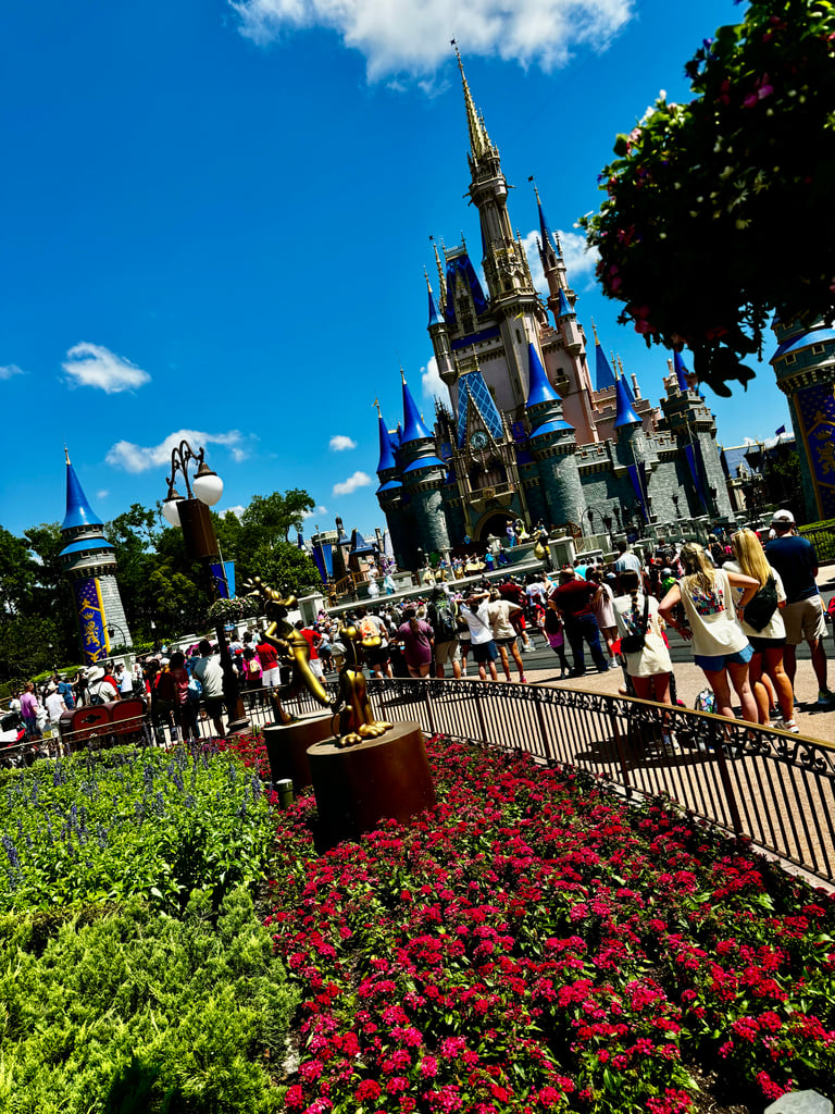 Magic Kingdom - Castle