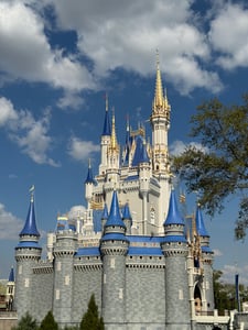 Magic Kingdom Castle