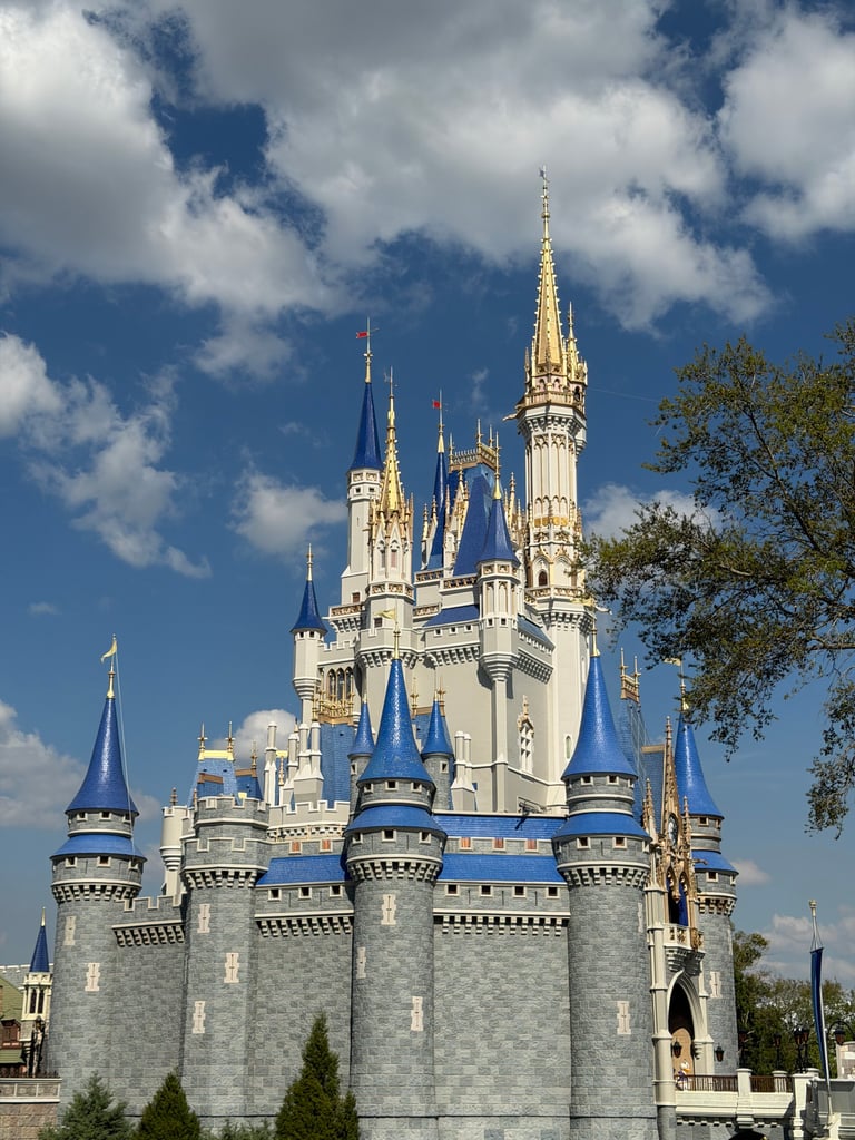 Magic Kingdom Castle
