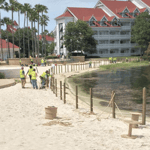 Construction workers building the fence at Disney's Grand Floridian