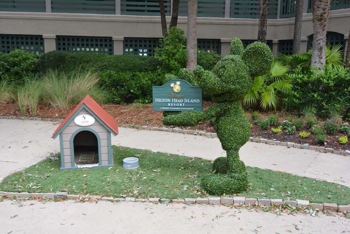 Mickey topiary holding a sign at Hilton Head