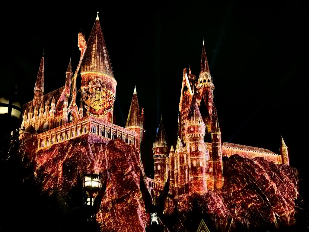 Hogwarts Castle Show