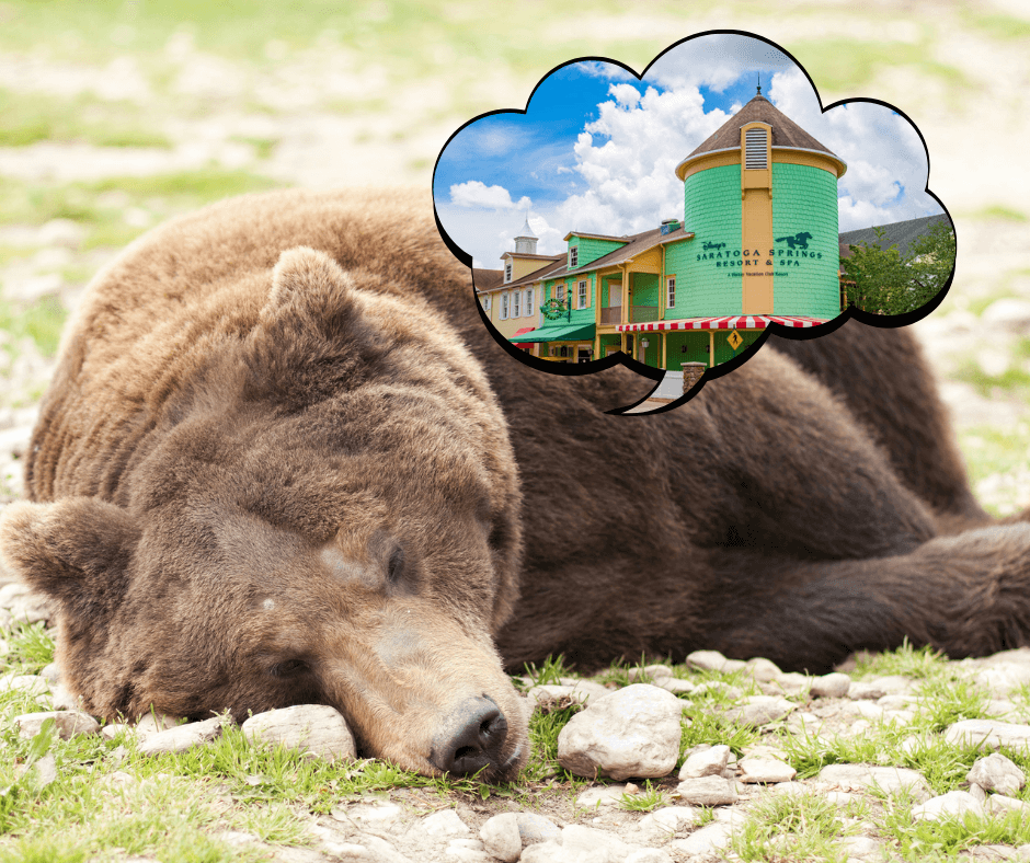 The ROFR Monster Sleeps