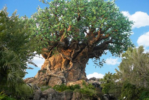 Explore Disneys Animal Kingdom