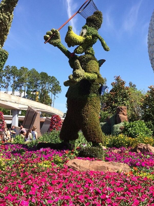 Disney's Epcot Flower and Garden Festival's Goofy