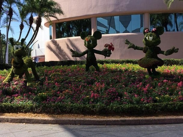 Disney's Epcot Flower and Garden Festival