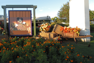 mickeys-fall-festival