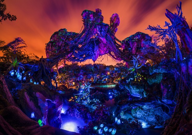 Animal Kingdom Disney photograph at night