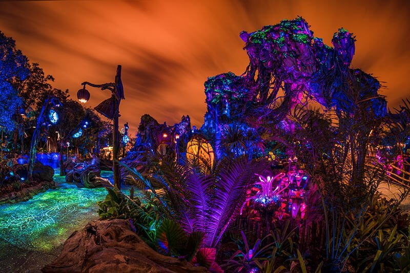 Walt Disney World's Pandora with a view of plants at night