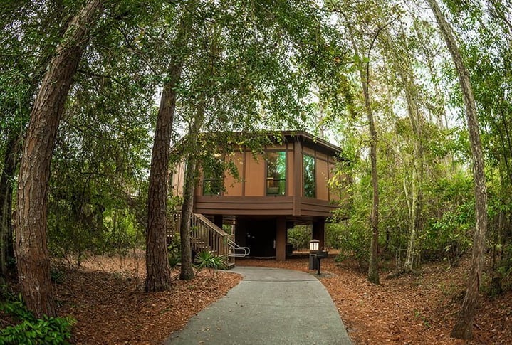 Disney's Treehouse Villas shaded by trees