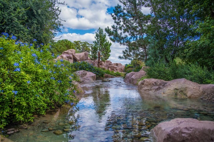 Disney's Wilderness Lodge