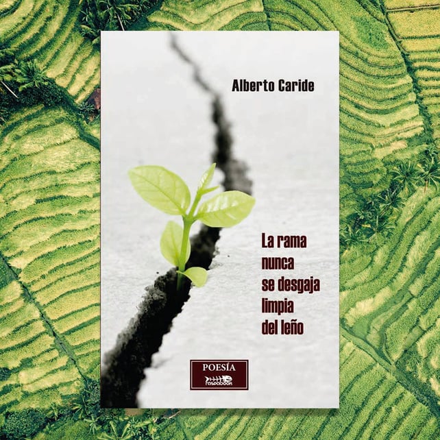 Imágen destacada - Alberto Caride publica nuevo poemario