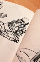 Análisis de Anatomía artística de Michel Lauricella, ayuda ideal para dibujantes