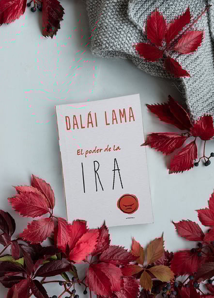 Imágen destacada - El poder de la ira: cómo convertir la ira en acción compasiva