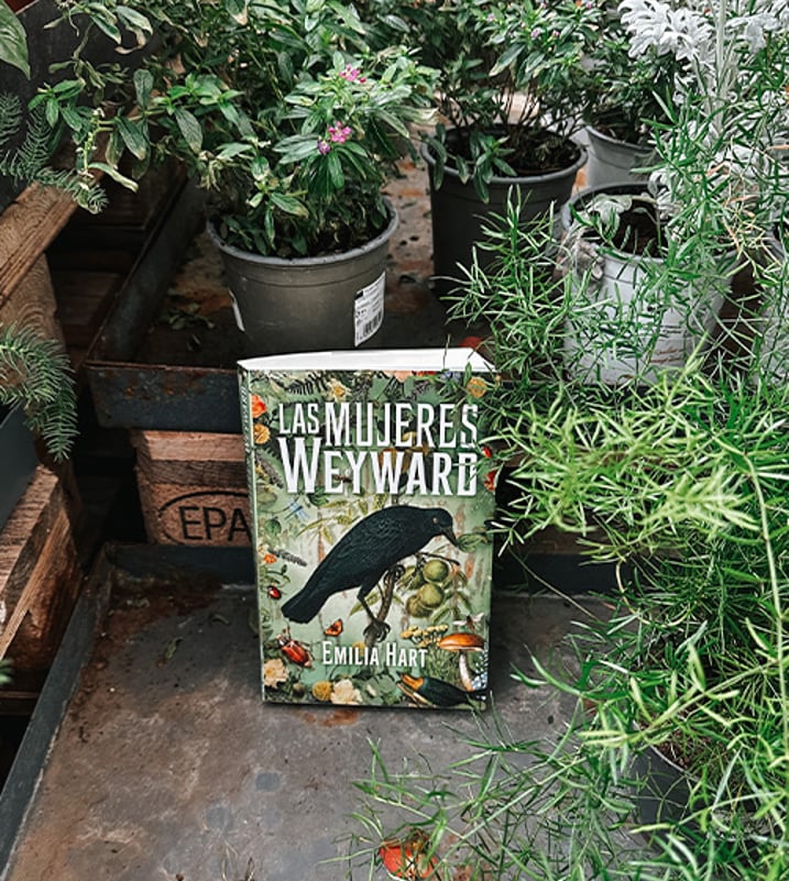 Imágen destacada - Descubriendo los secretos de Las Mujeres Weyward: una narrativa sinestésica de empoderamiento femenino