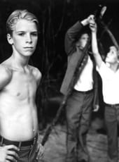 Iamgen de la entrada Conclusión del libro El señor de las moscas