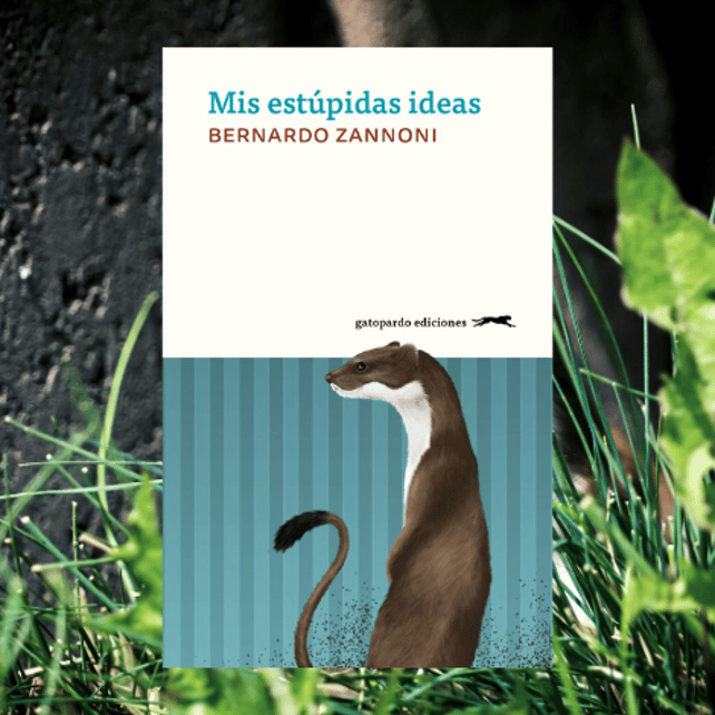 Imágen destacada - Mis Estúpidas Ideas es la multipremiada fábula picaresca de Bernardo Zannoni que publica Gatopardo Ediciones